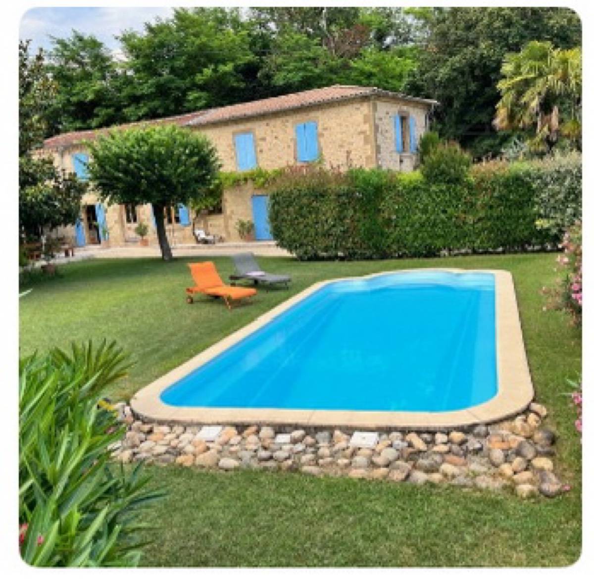 Une photo de l’annonce