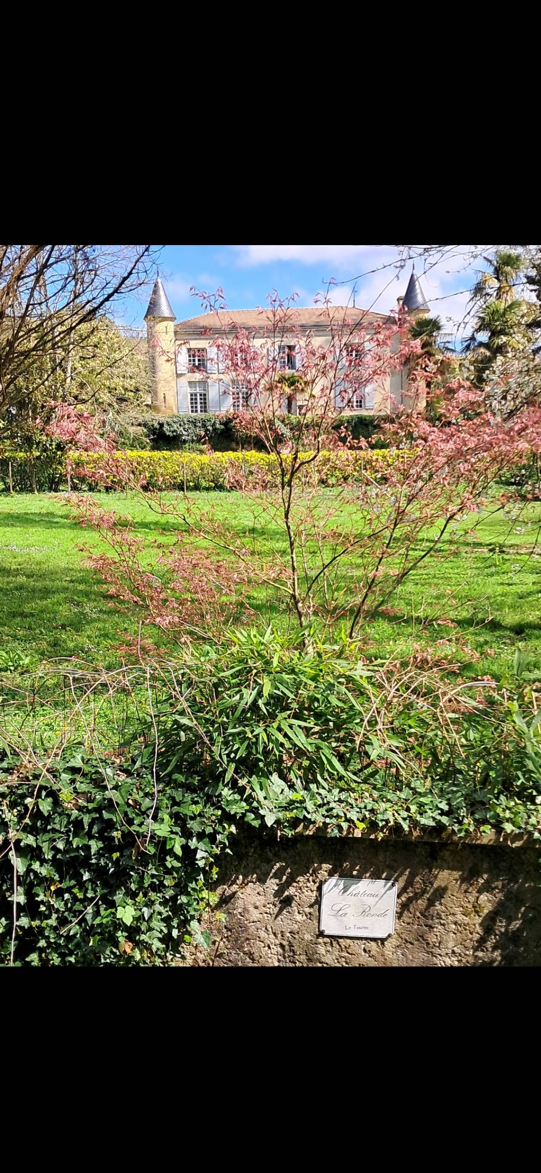 Une photo de l’annonce