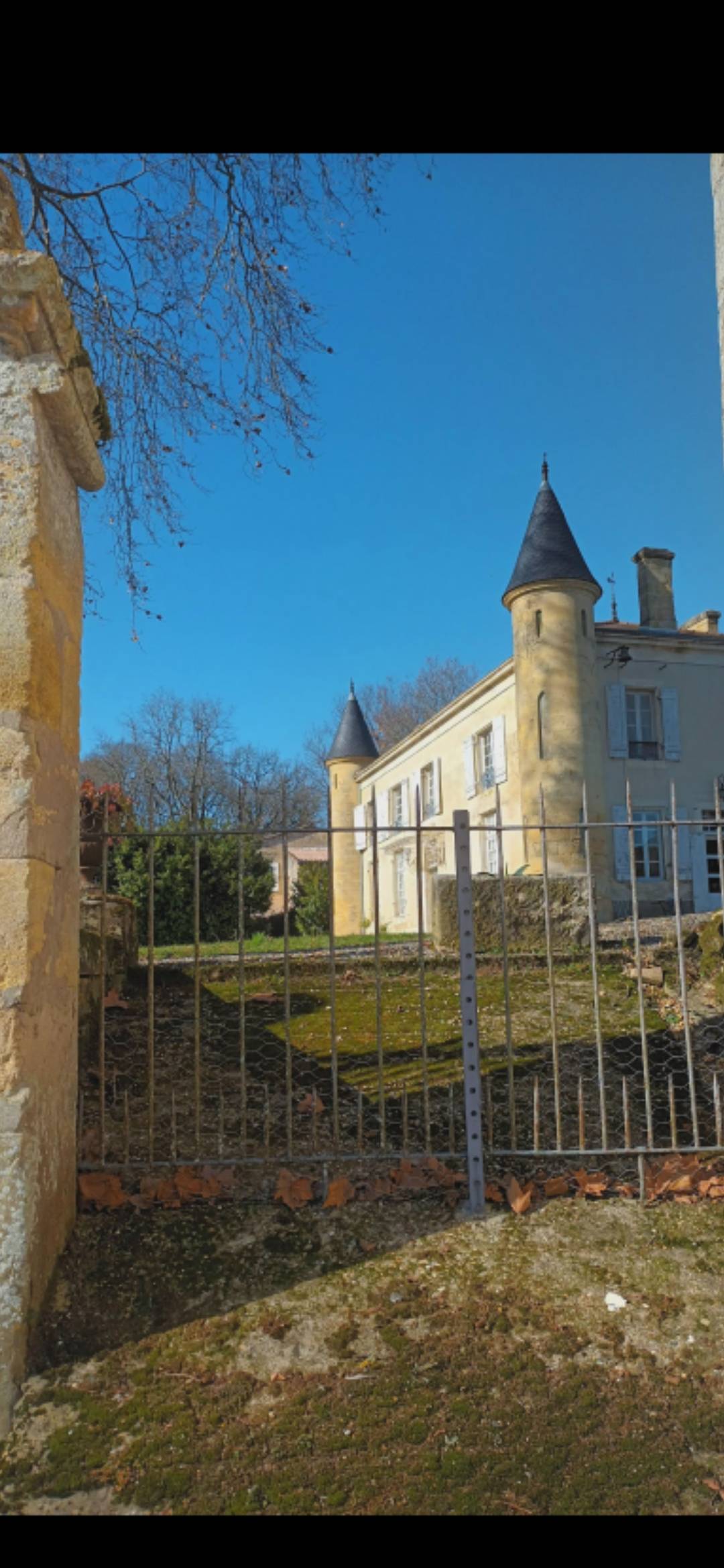 Une photo de l’annonce