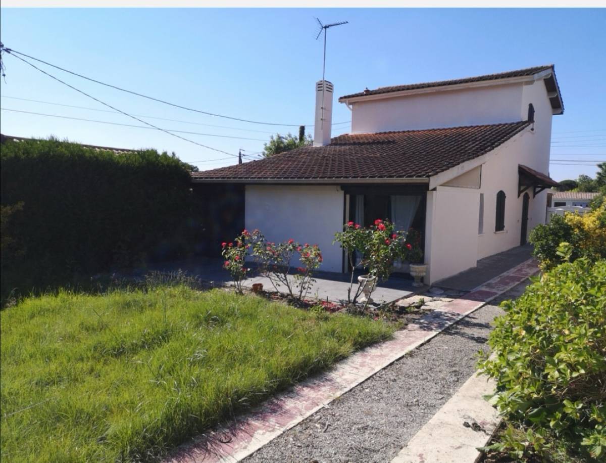 Une photo de l’annonce