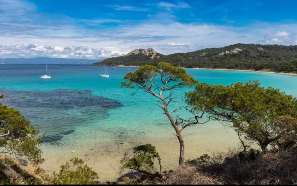 Charmant Appartement T3 proche mer, forêt