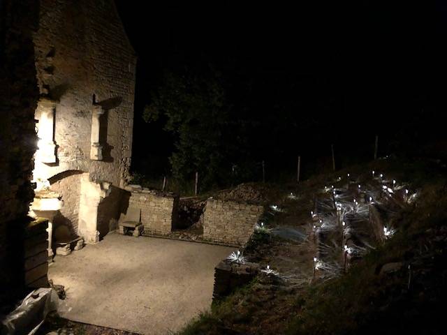 Une photo de l’annonce