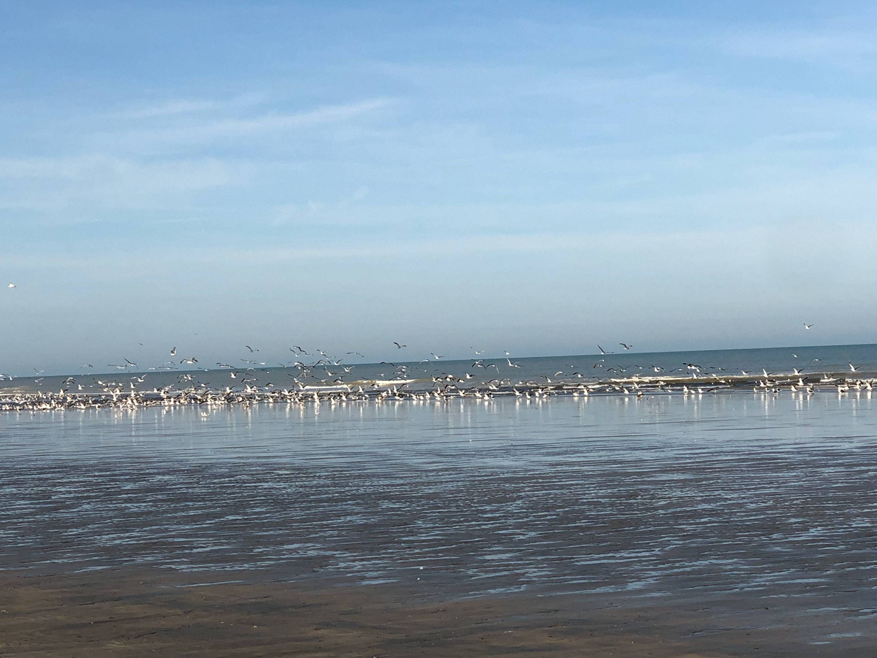 Une photo de l’annonce de location de vacances