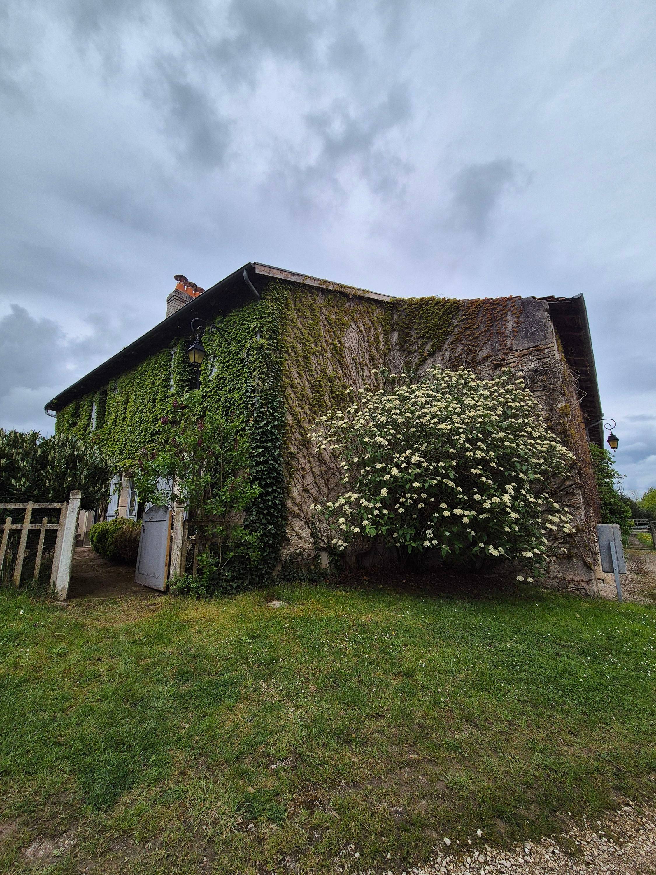 Une photo de l’annonce