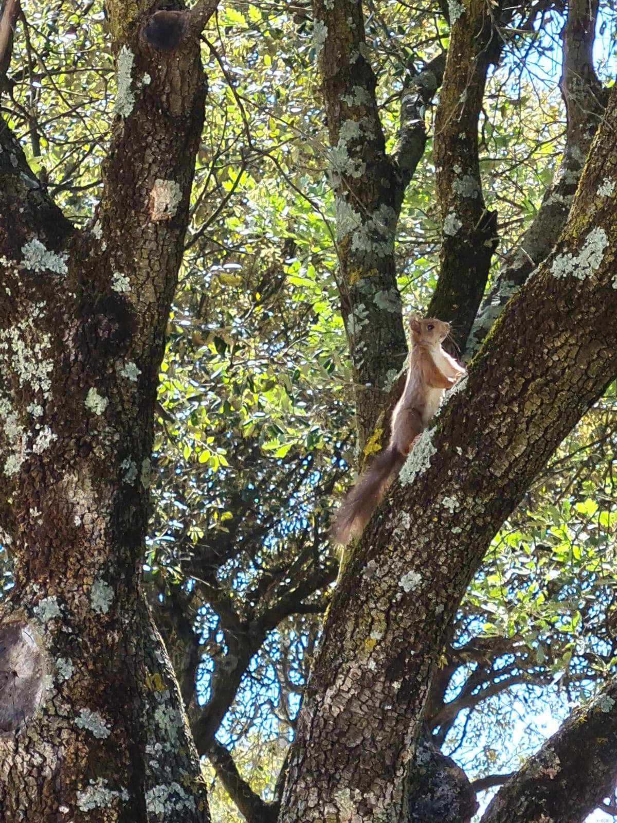 Une photo de l’annonce de location de vacances