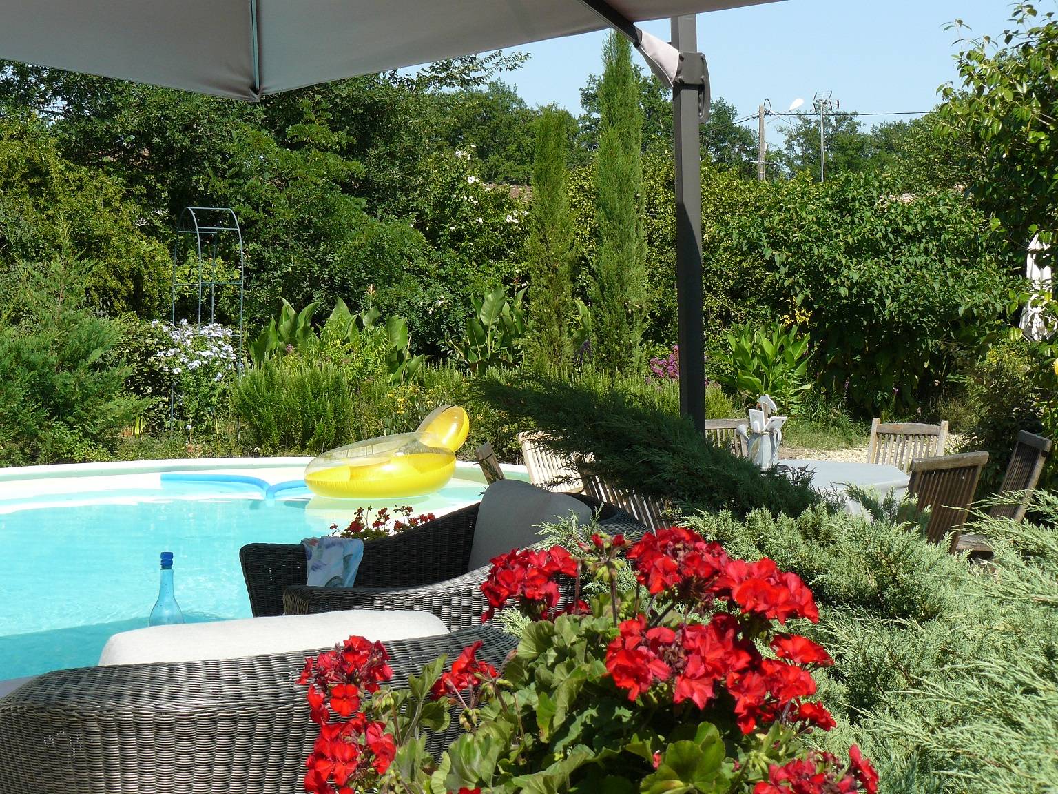 Une photo de l’annonce