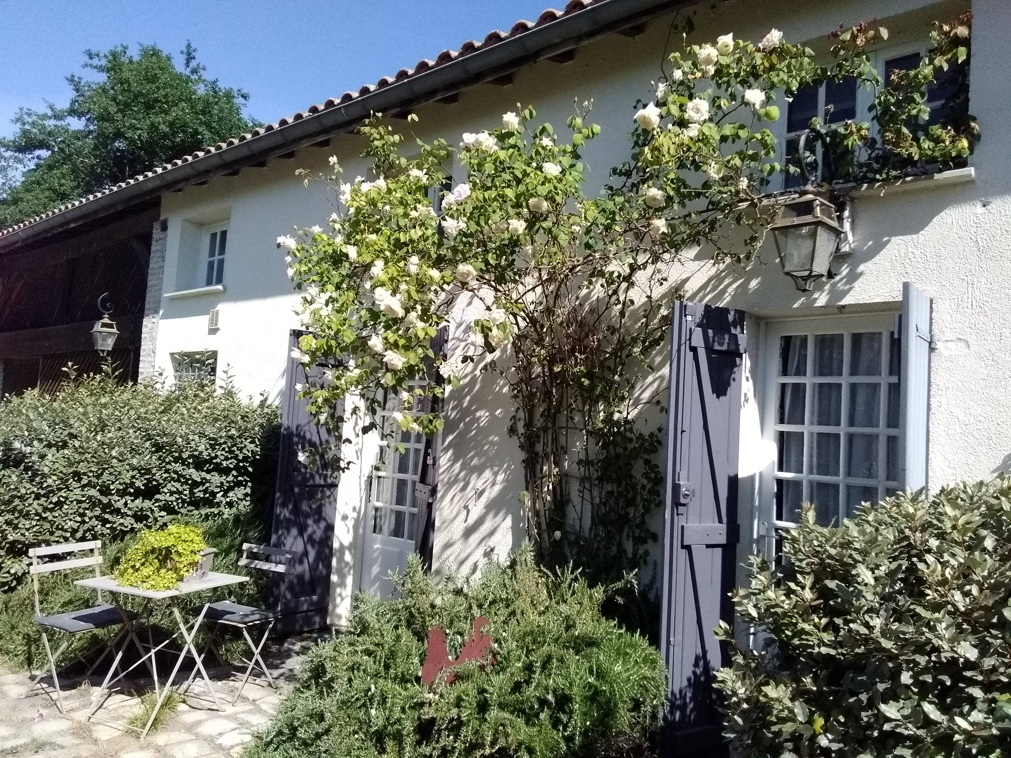 Une photo de l’annonce