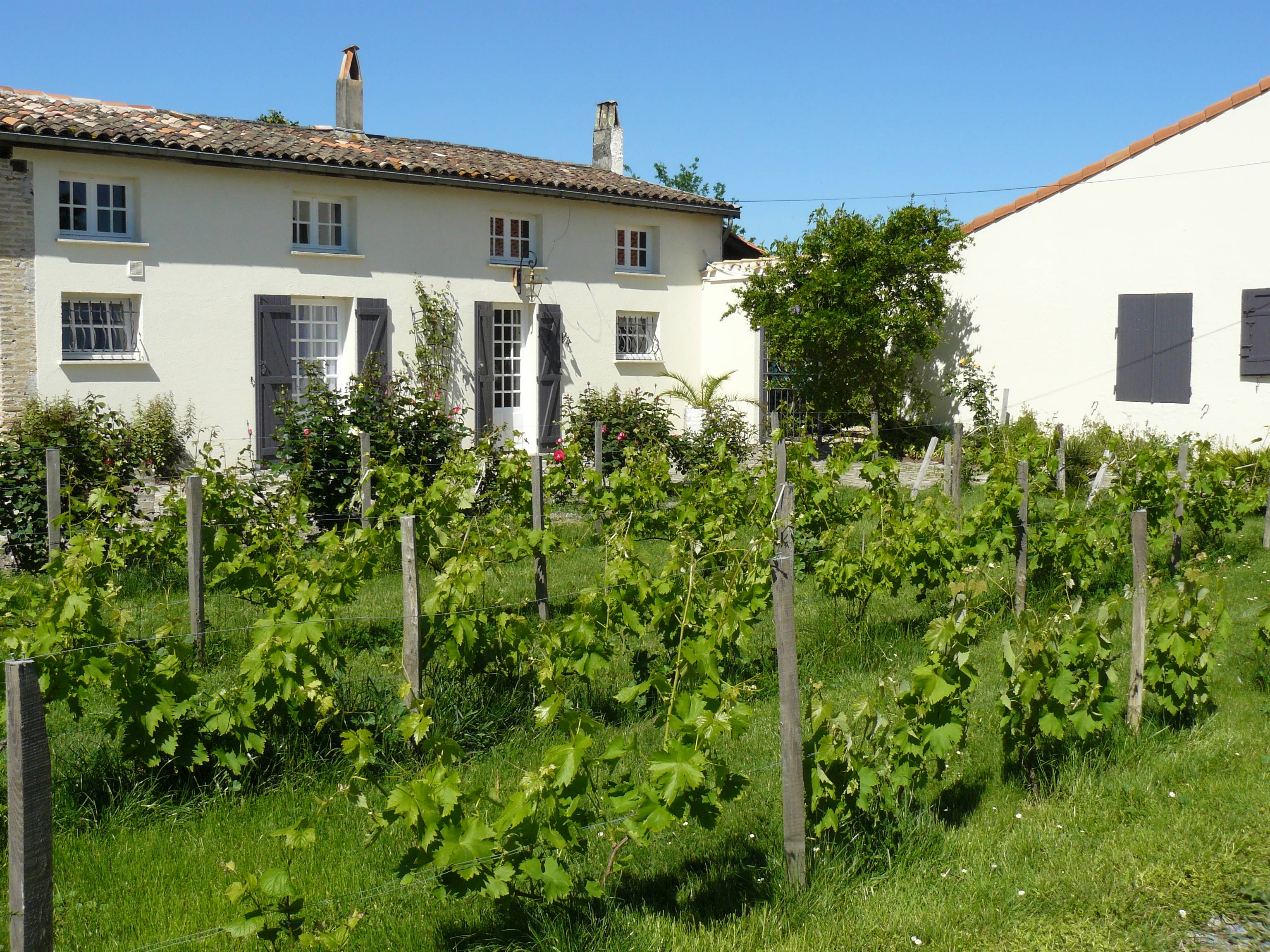 Une photo de l’annonce