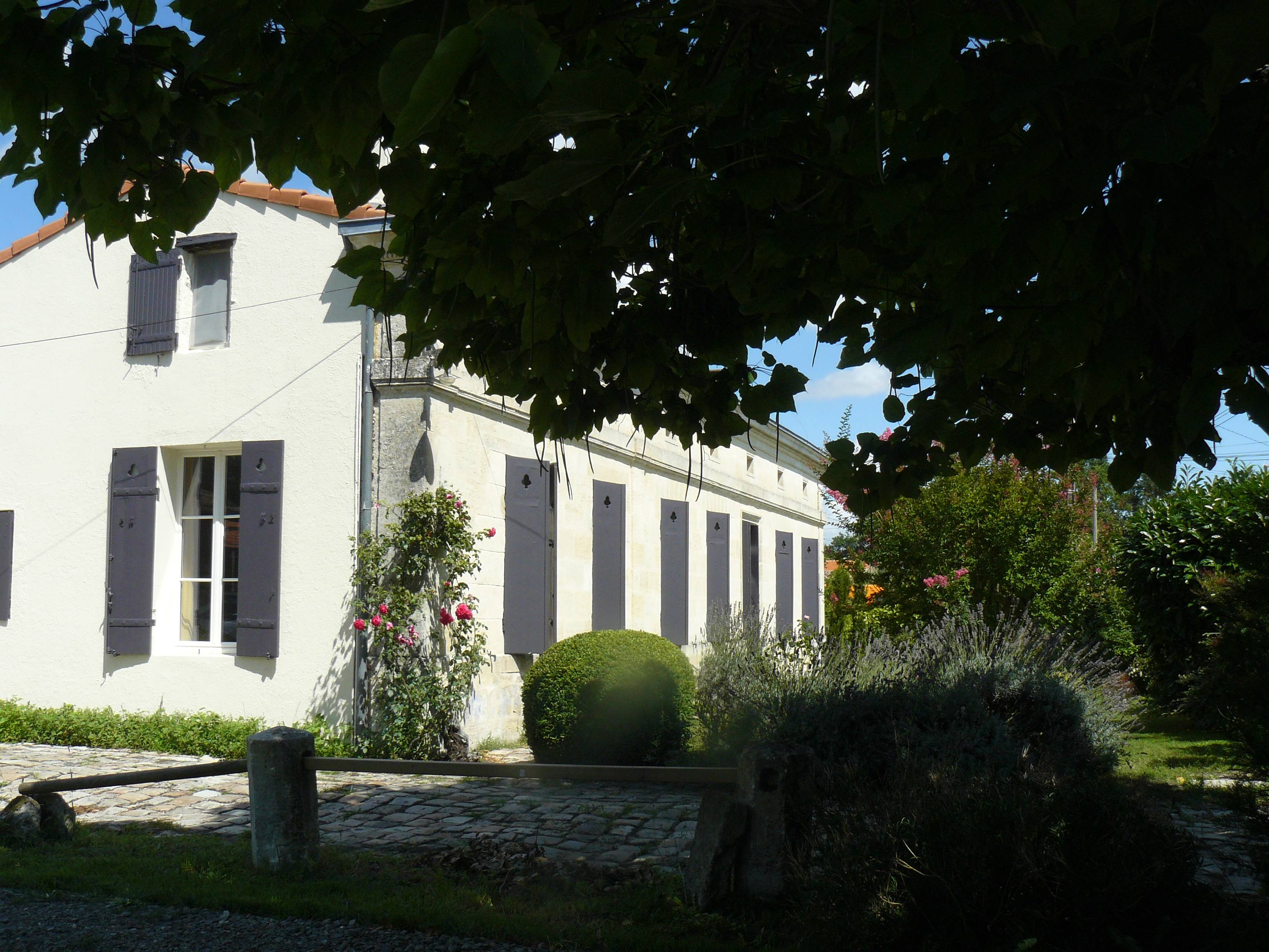 Une photo de l’annonce