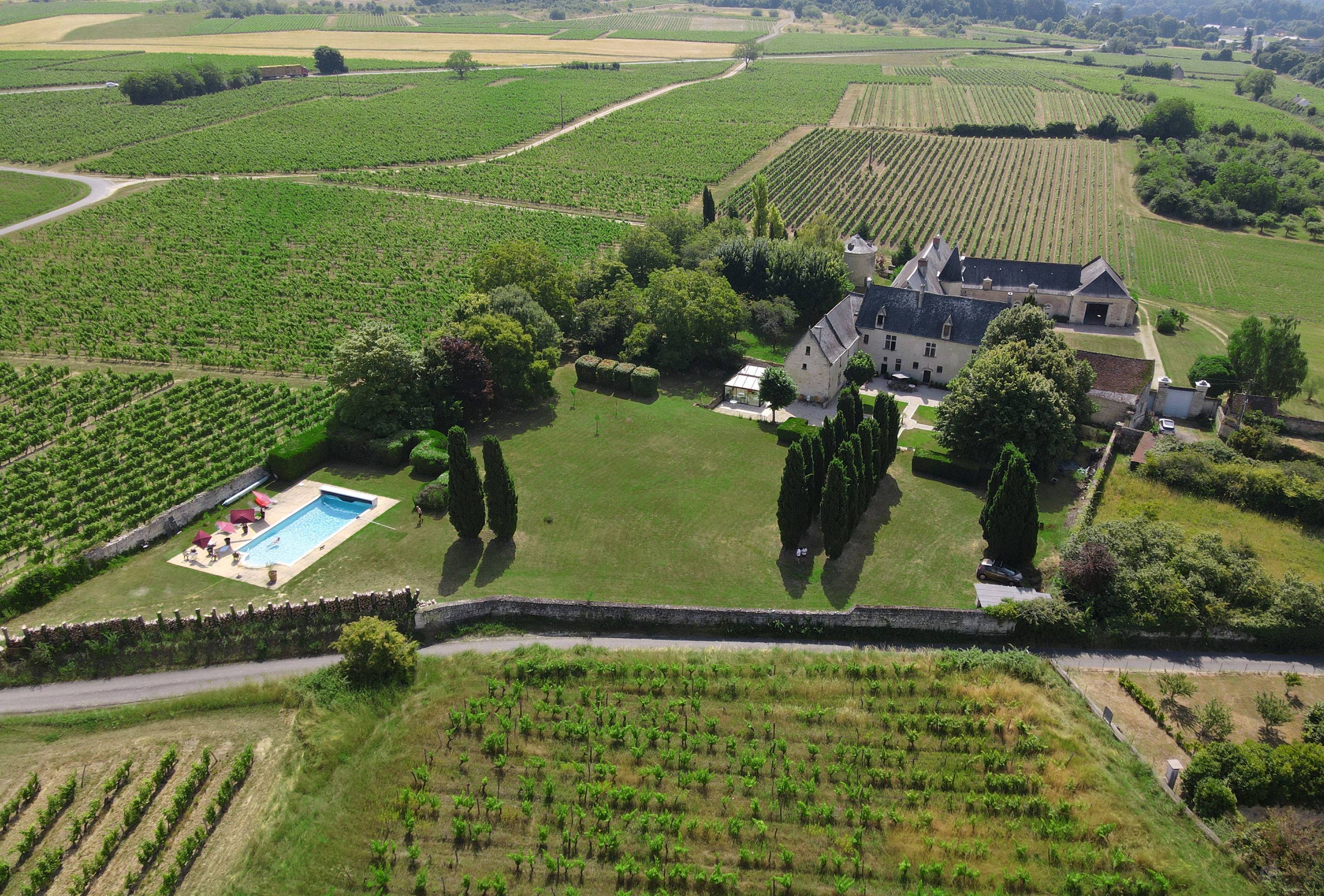 Loue Château de Danzay au cœur des vignobles de Chinon, piscine chauffée 16 couchages