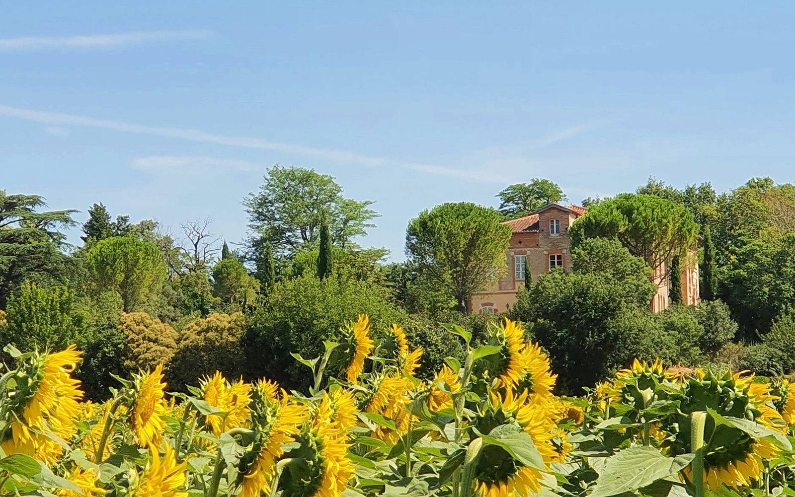 Une photo de l’annonce de location de vacances