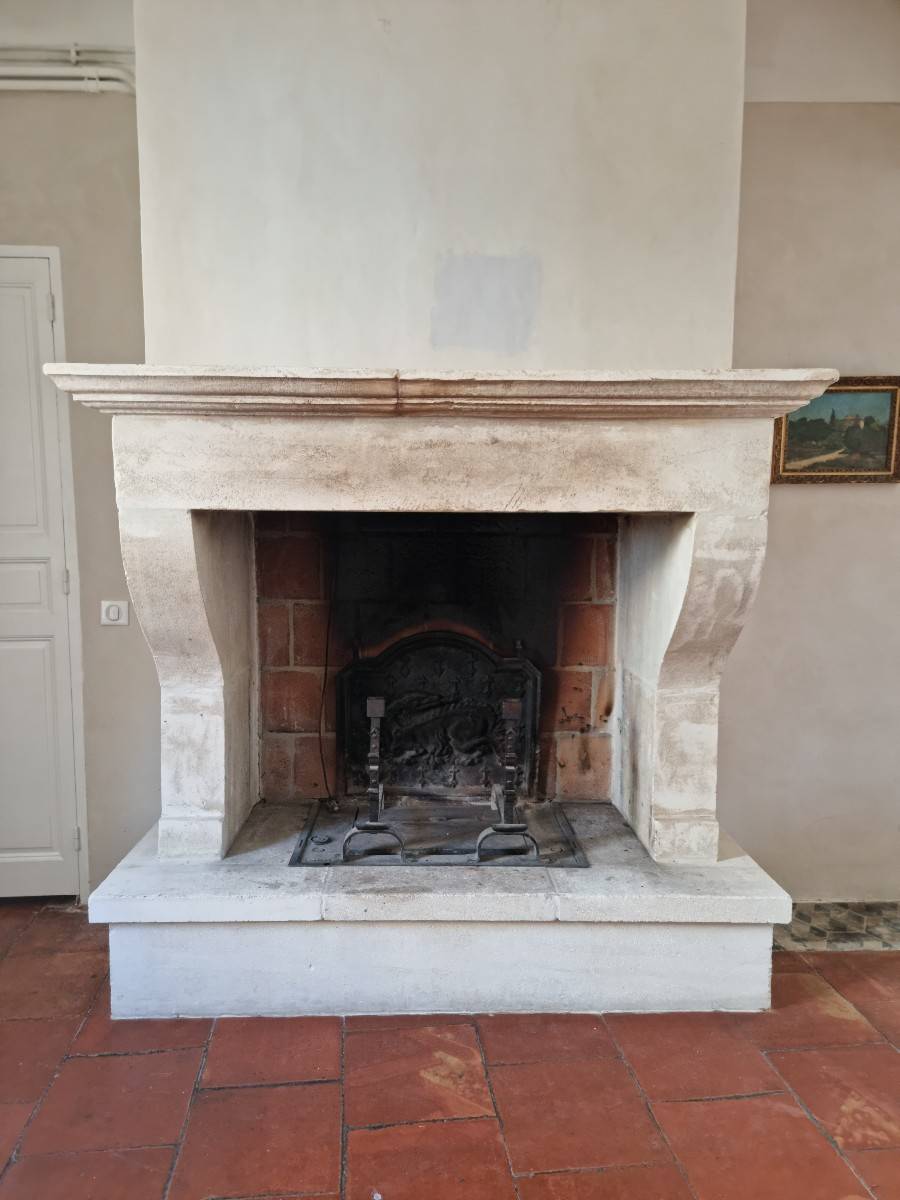 Cheminee en pierre avec système polyflamme, et plaque en fonte sur Gens de Confiance