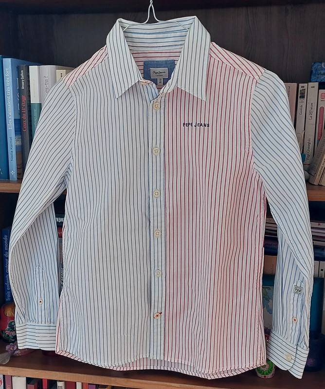 Vends lot de deux chemises - Taille 10 ans