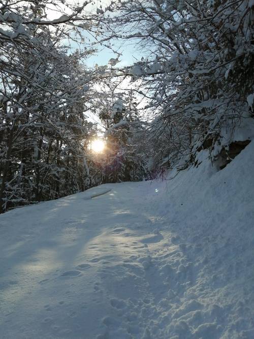 JF cherche garde d’enfants régulières sur Chambéry et alentours
