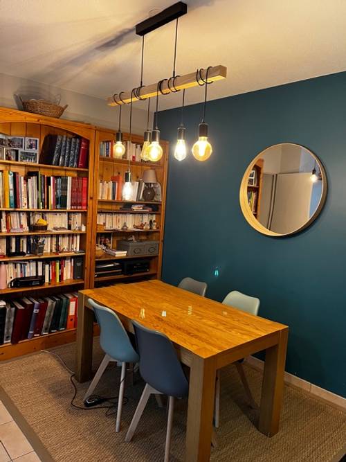 Cherche co-locataire pour logement T3 à Lyon - gare de Vaise