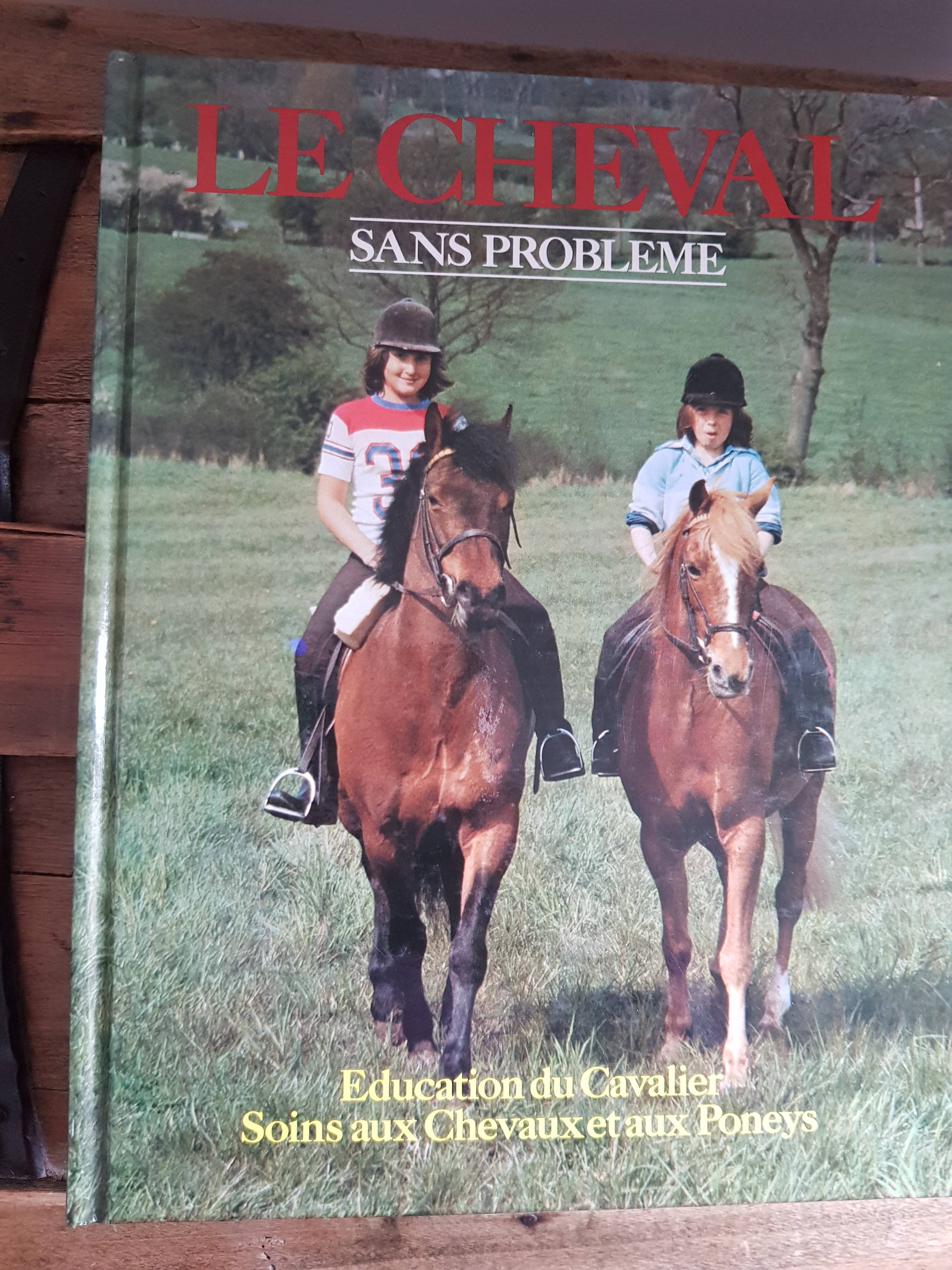 Le cheval sans problème neuf