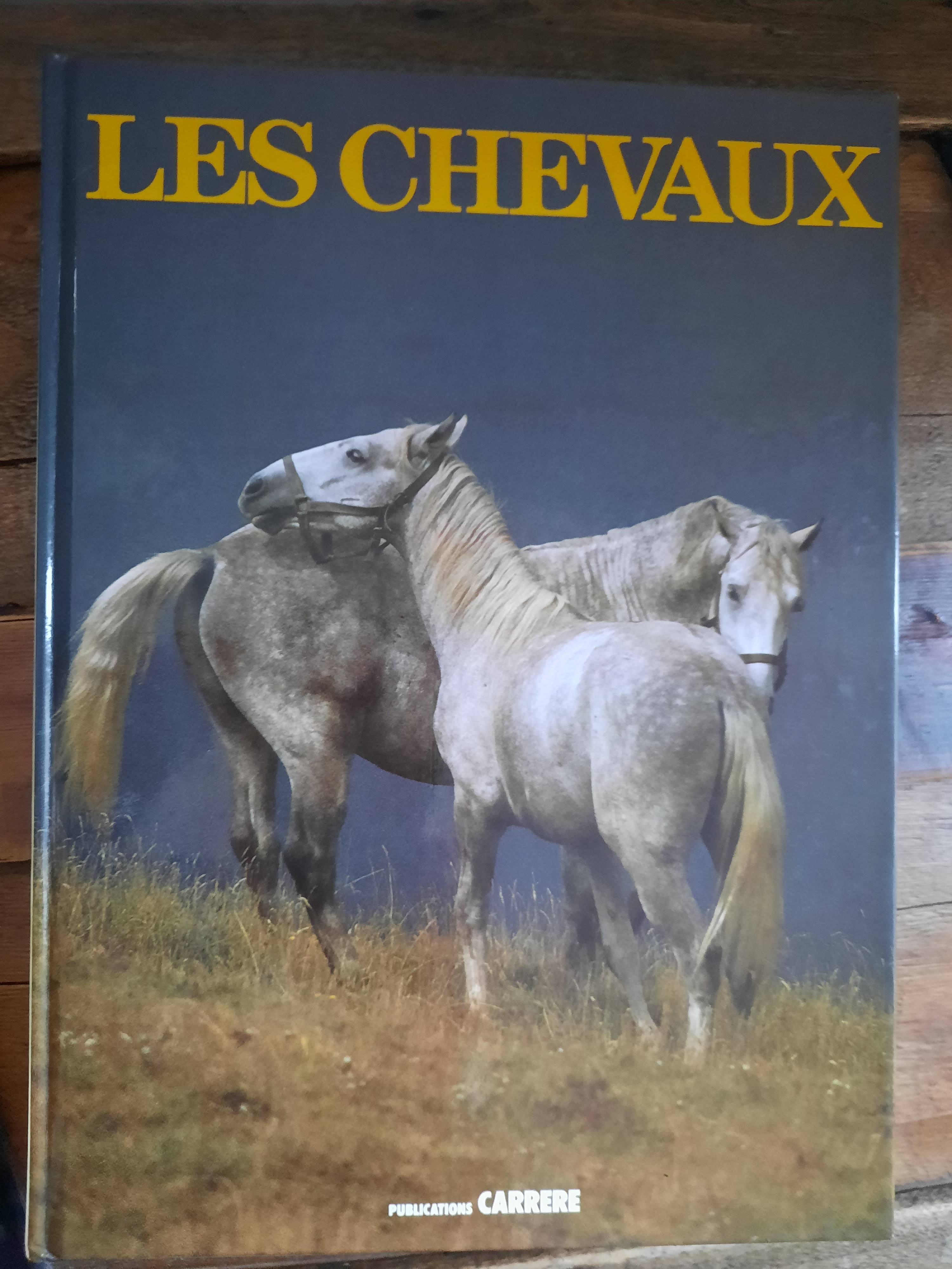 Les chevaux