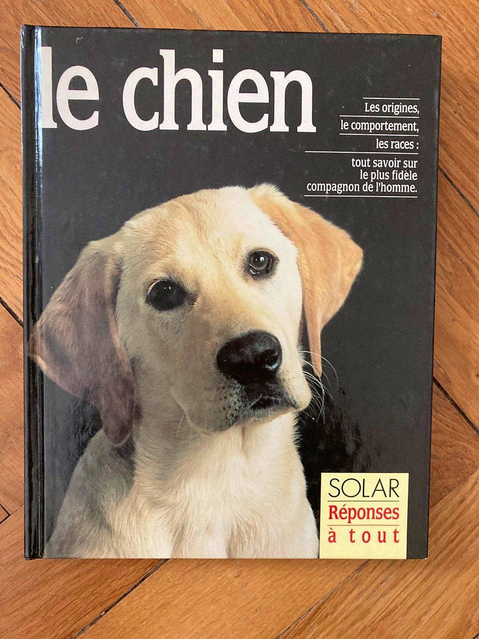 "Le chien"