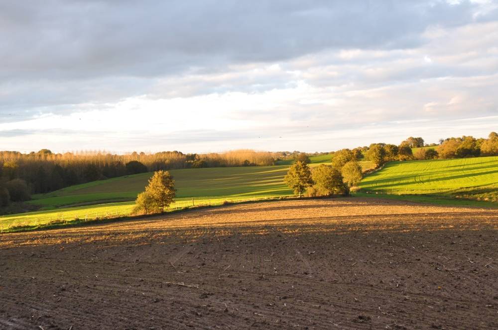 Une photo de l’annonce de location de vacances