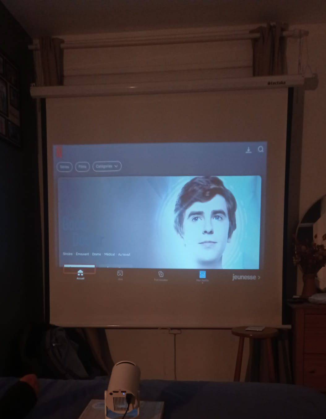 Vends écran de projection/toile vidéo projecteur