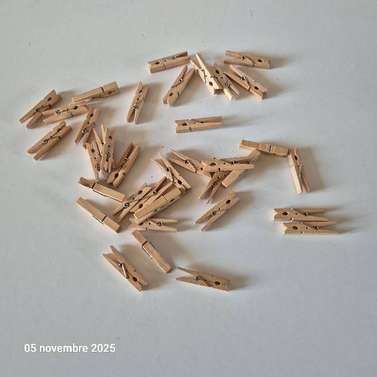 Lot de 36 pince à linge en bois naturel de taille moyenne