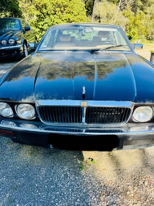 Vends véhicule Jaguar XJ 12