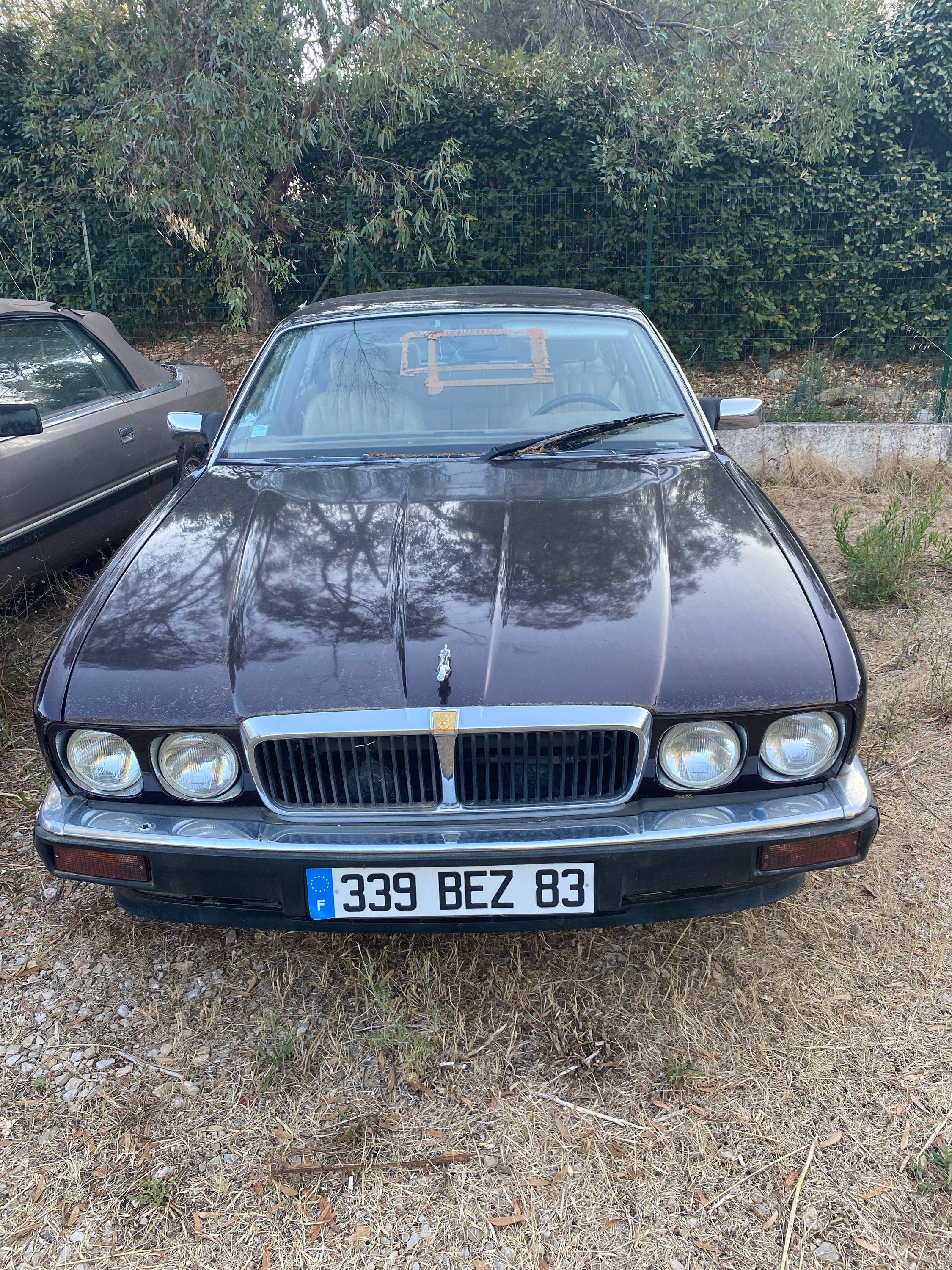 Belle affaire – Jaguar XJ12 V12 de collection – 1993
