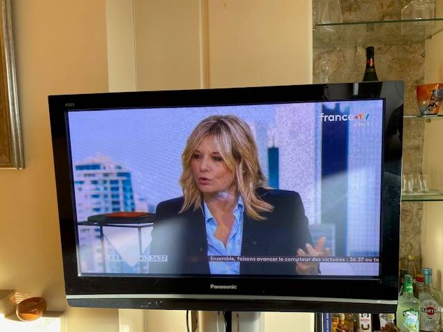 Vends téléviseur couleur Panasonic plasma, modèle Viera