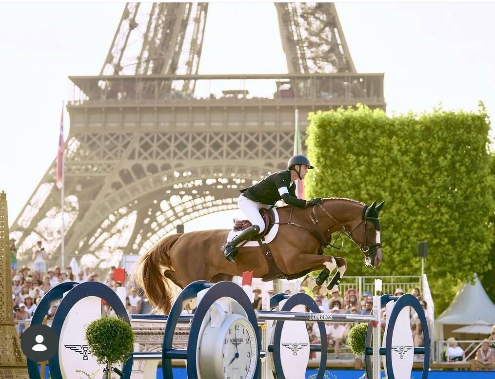 Vends 1 billet pour le Longines Paris Eiffel Jumping du 21 juin