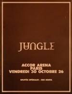 Propose 1 place en fosse pour Jungle à l'Accor Arena le 30 octobre