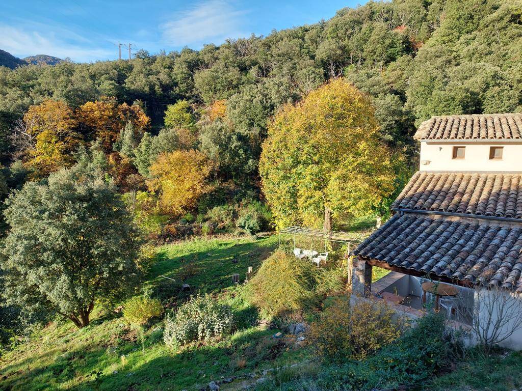Loue maison en pleine nature dans les Cévennes - 15 couchages