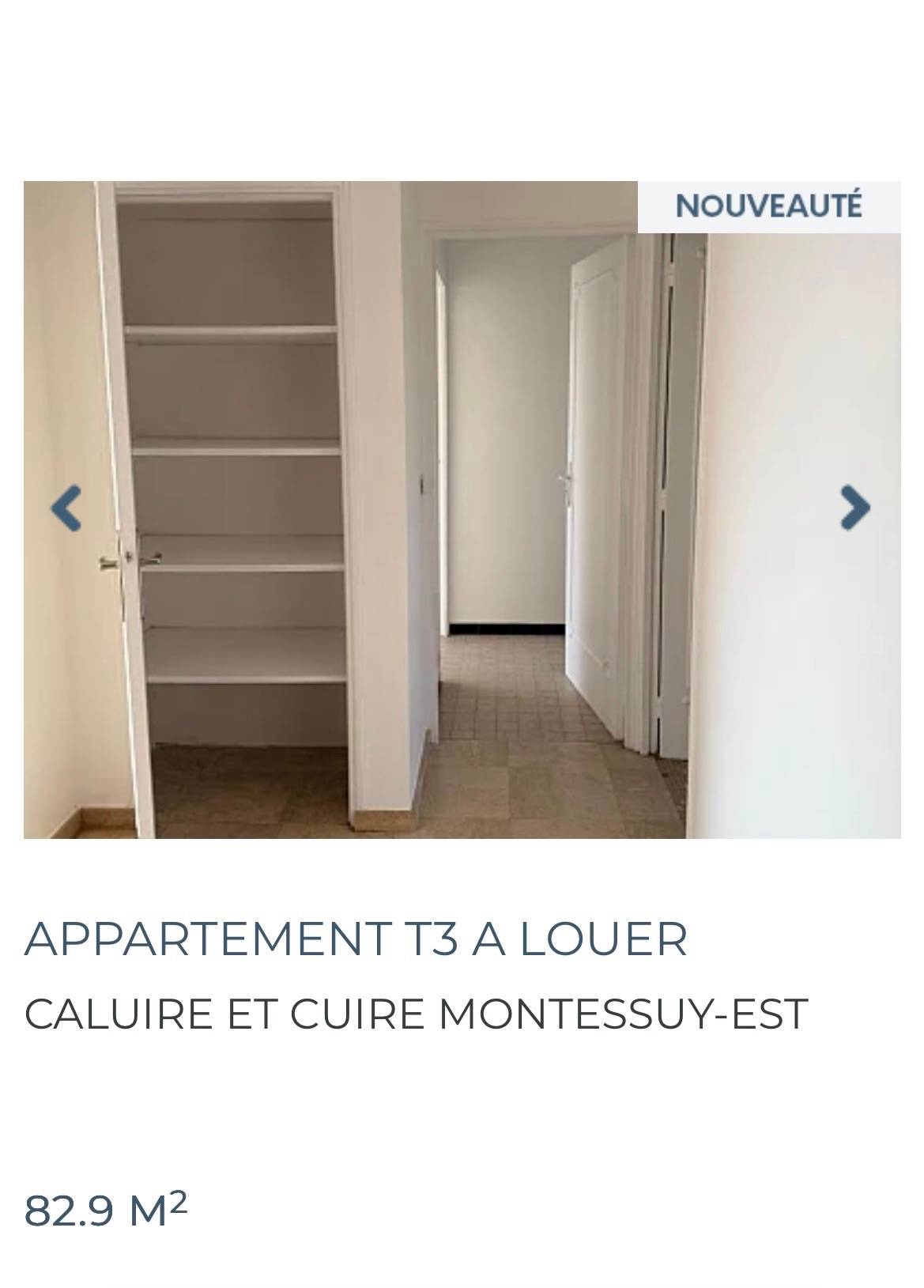 Une photo de l’annonce