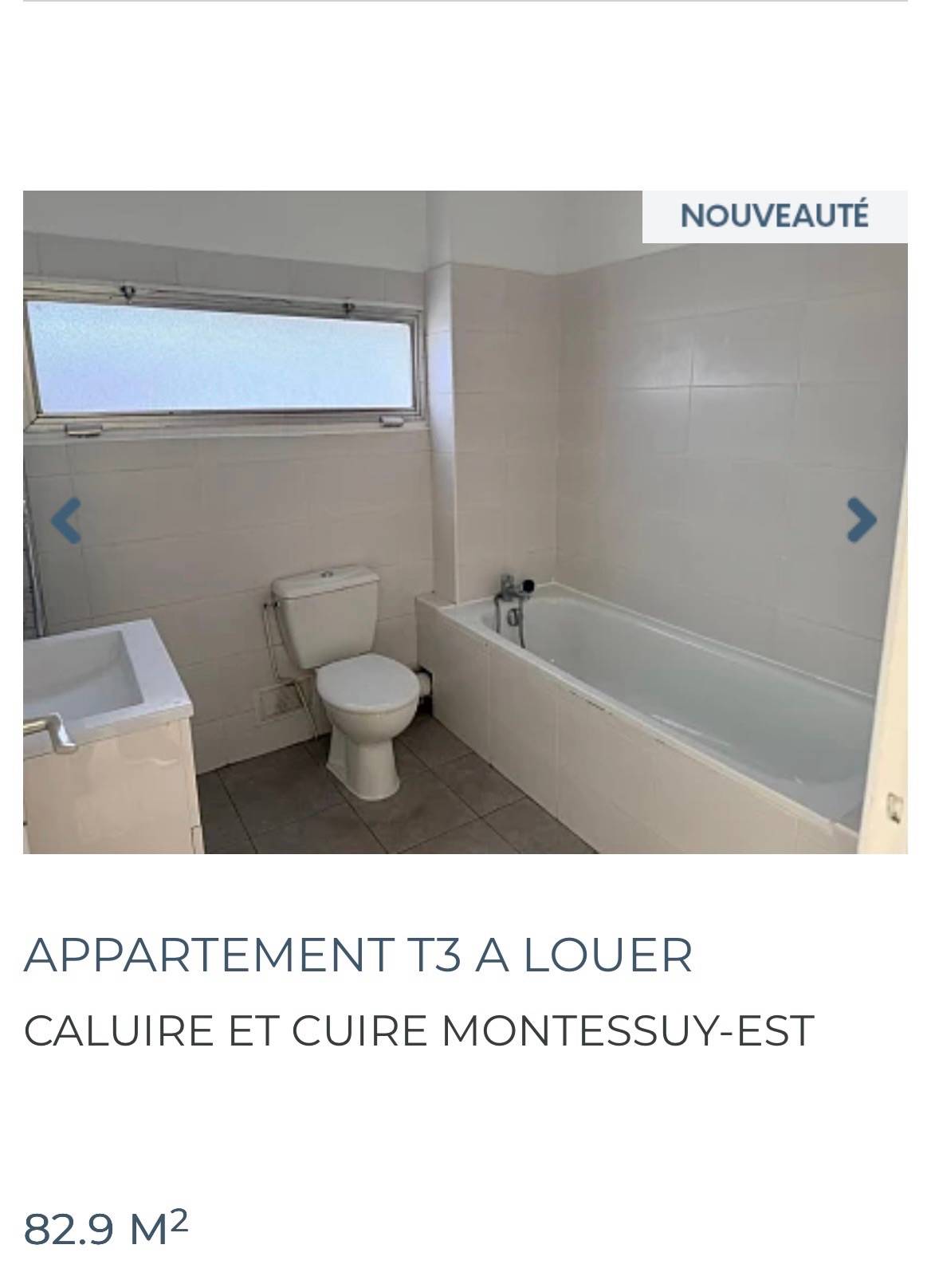 Une photo de l’annonce