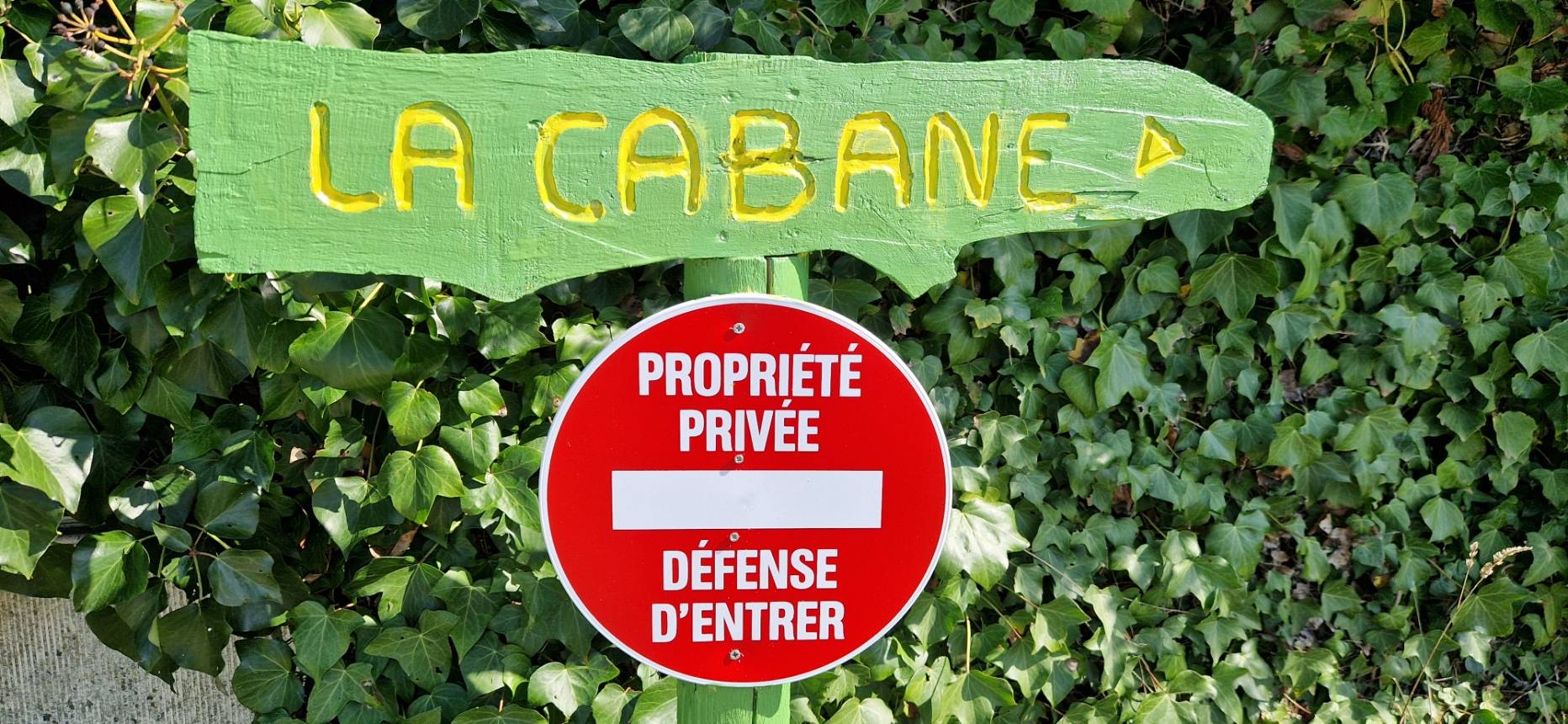 Une photo de l’annonce