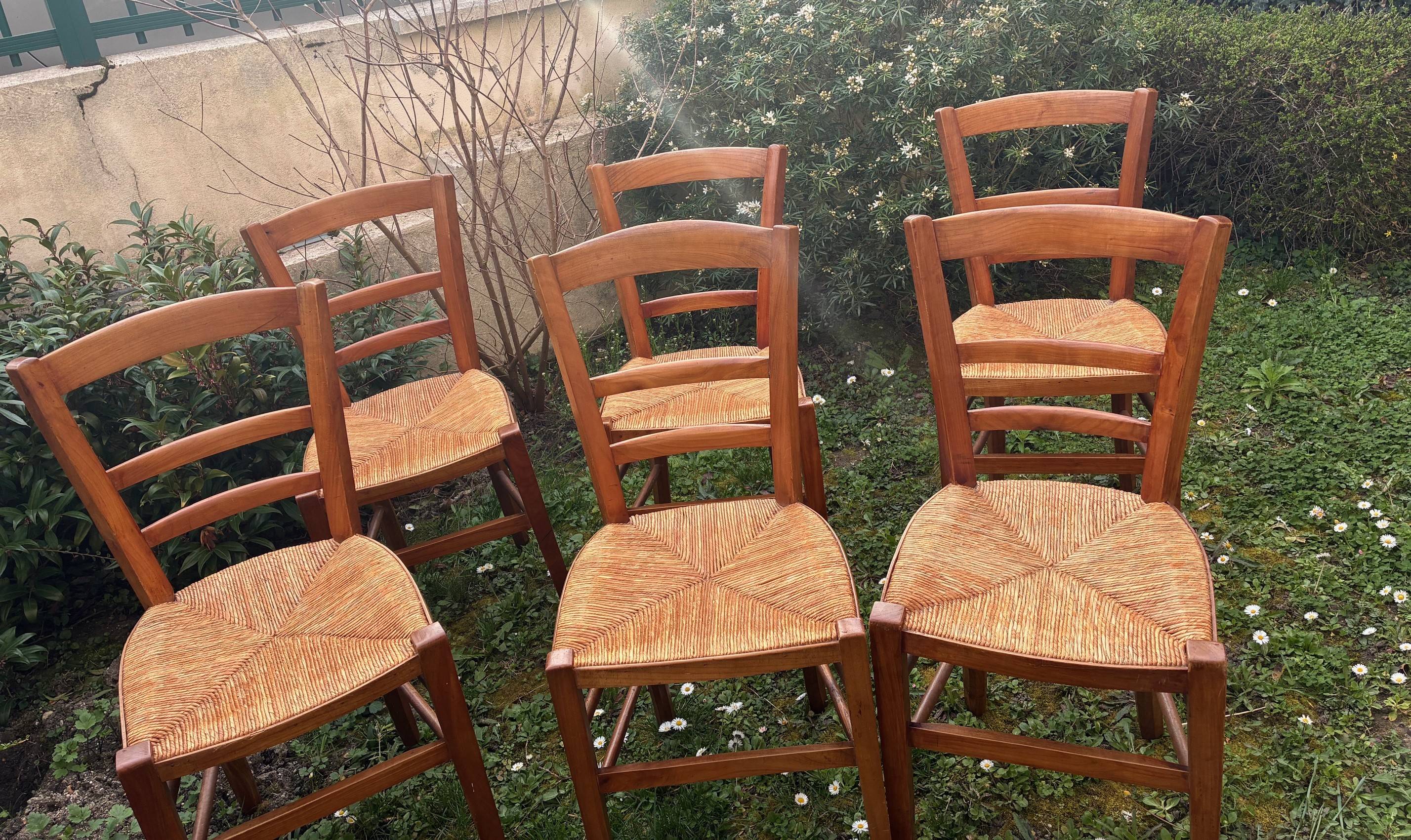 Six chaises paillées en merisier, bon état