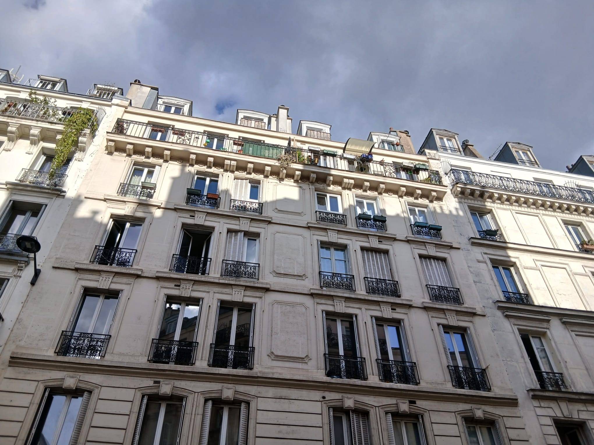 Une photo de l’annonce