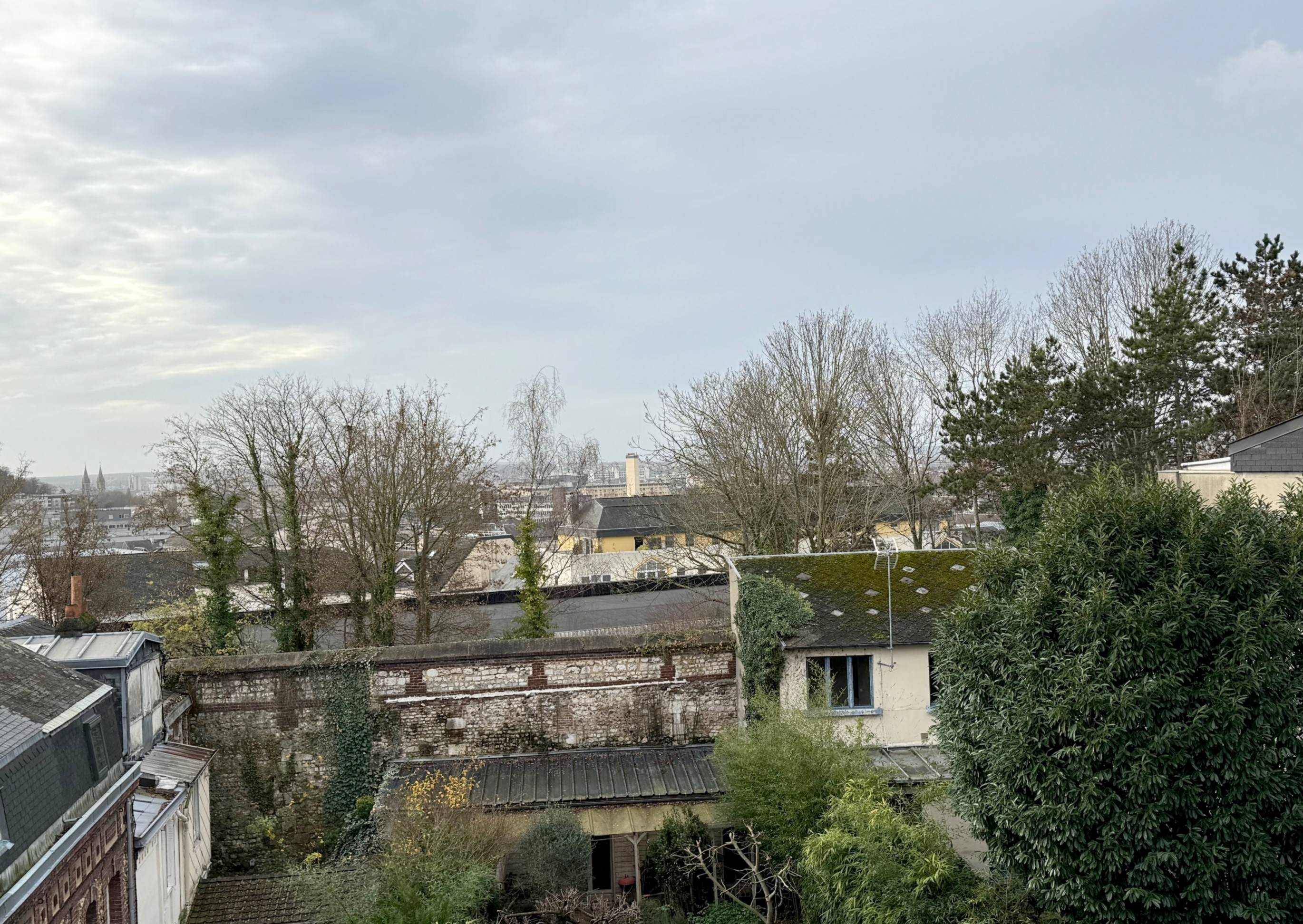Une photo de l’annonce