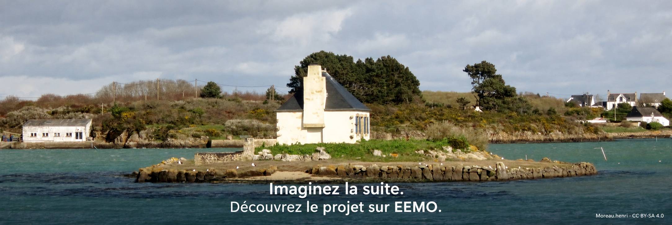 Une photo de l’annonce