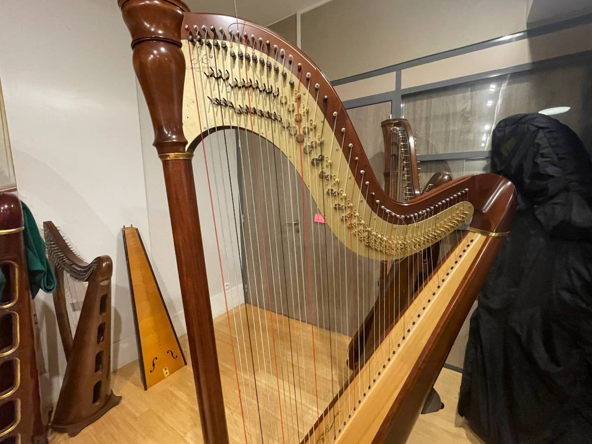 Propose Location de harpe