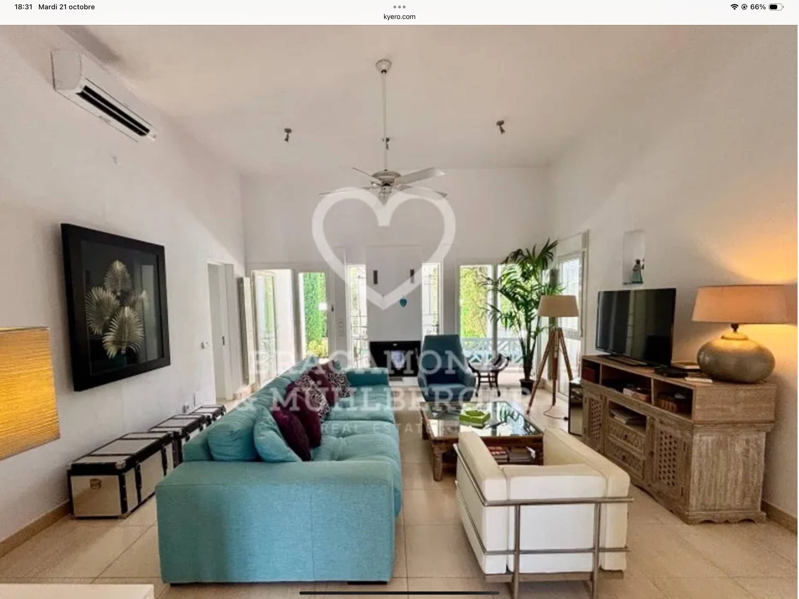 Une photo de l’annonce