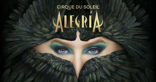 Propose 2 places pour le Cirque du Soleil le 19 décembre