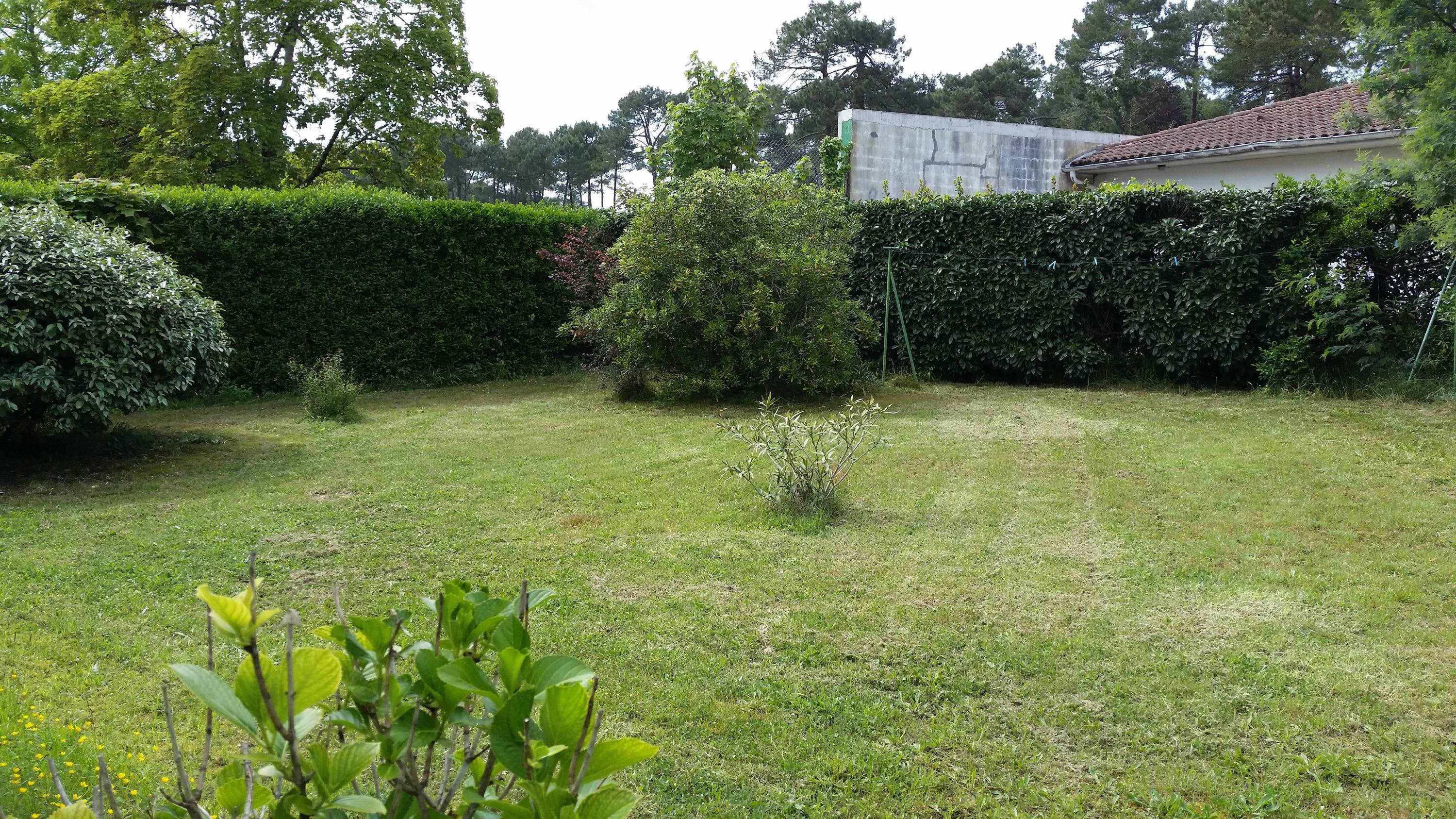 Une photo de l’annonce