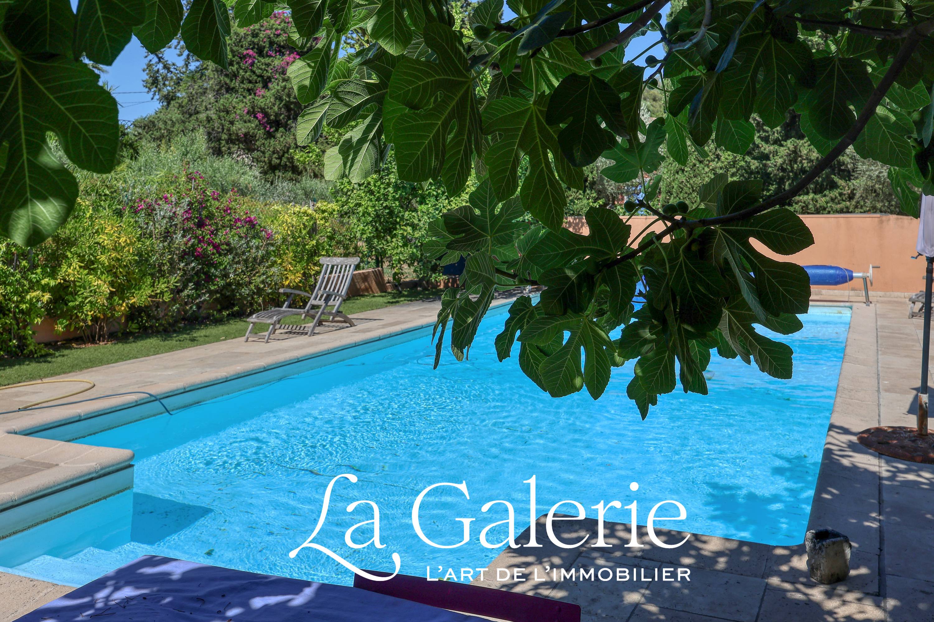 Une photo de l’annonce