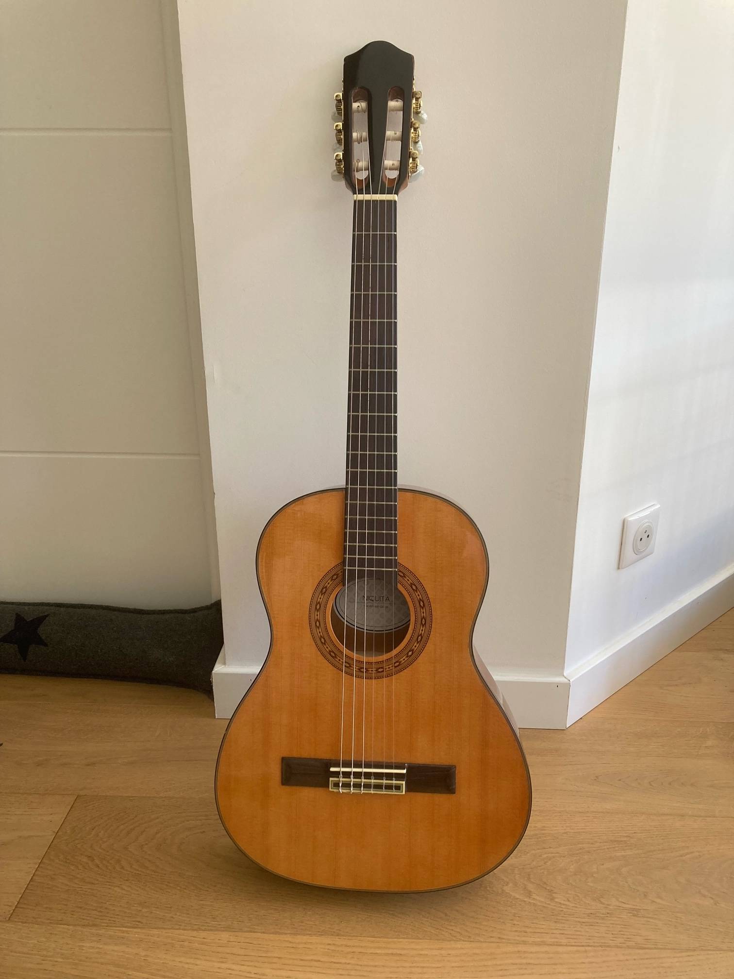 Vends guitare 3/4 et accessoires