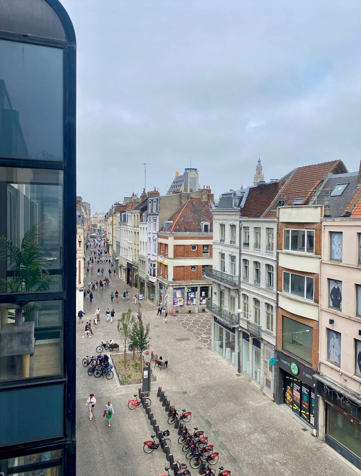 Une photo de l’annonce