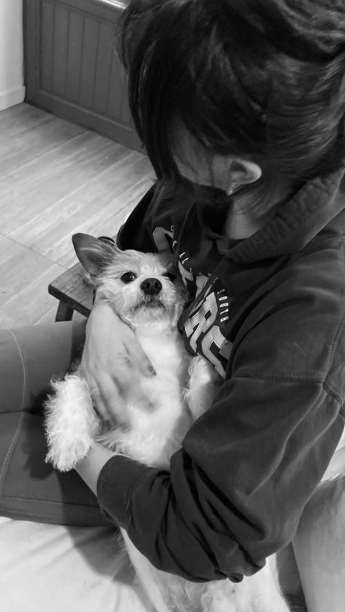 Propose garde d'animaux