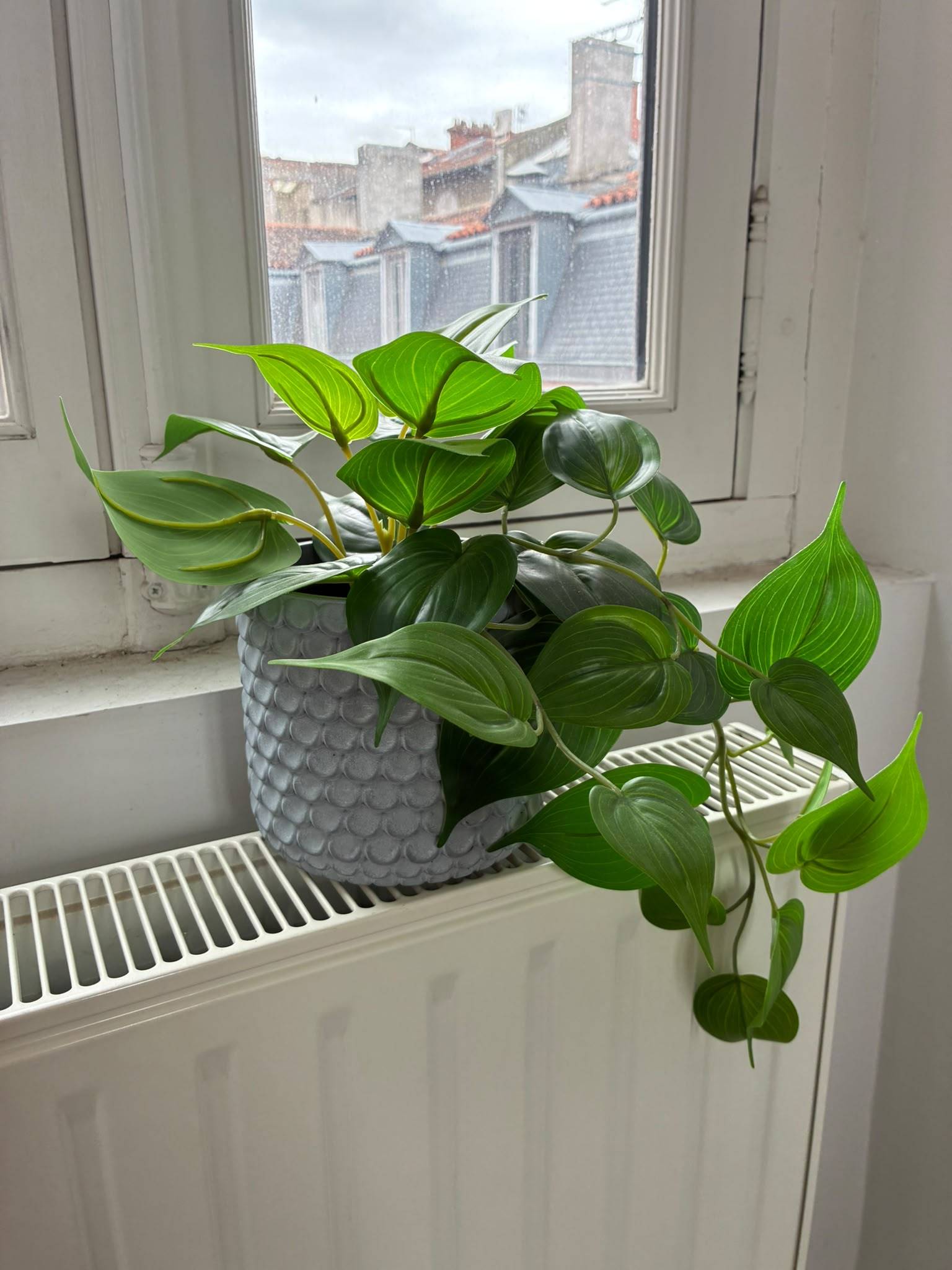 Vends plante artificielle retombante + pot gris – Ikea Fejka