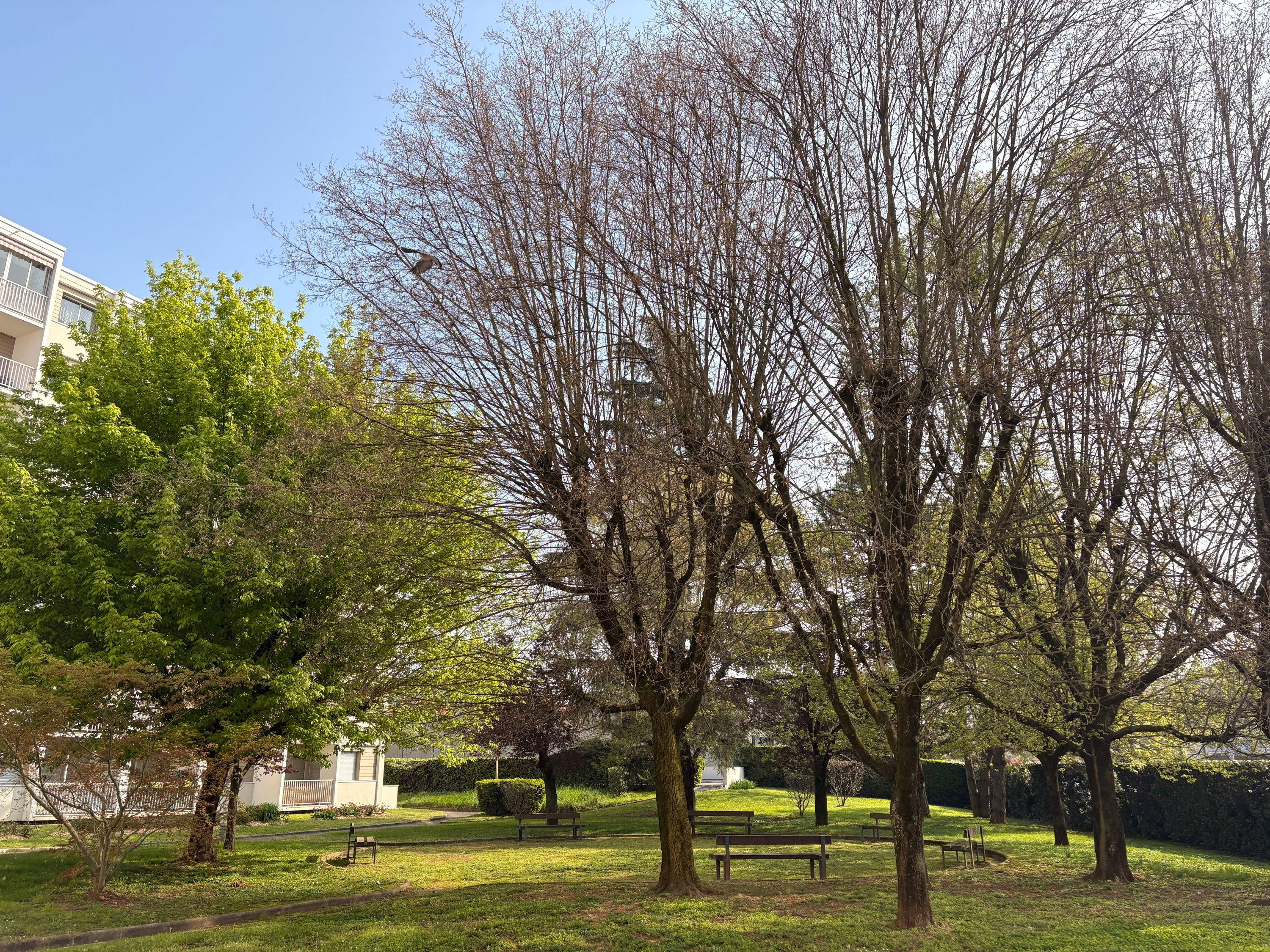 Une photo de l’annonce