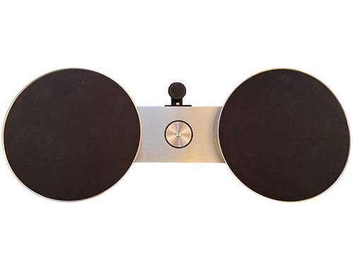 Vends Enceinte B&O Play A8