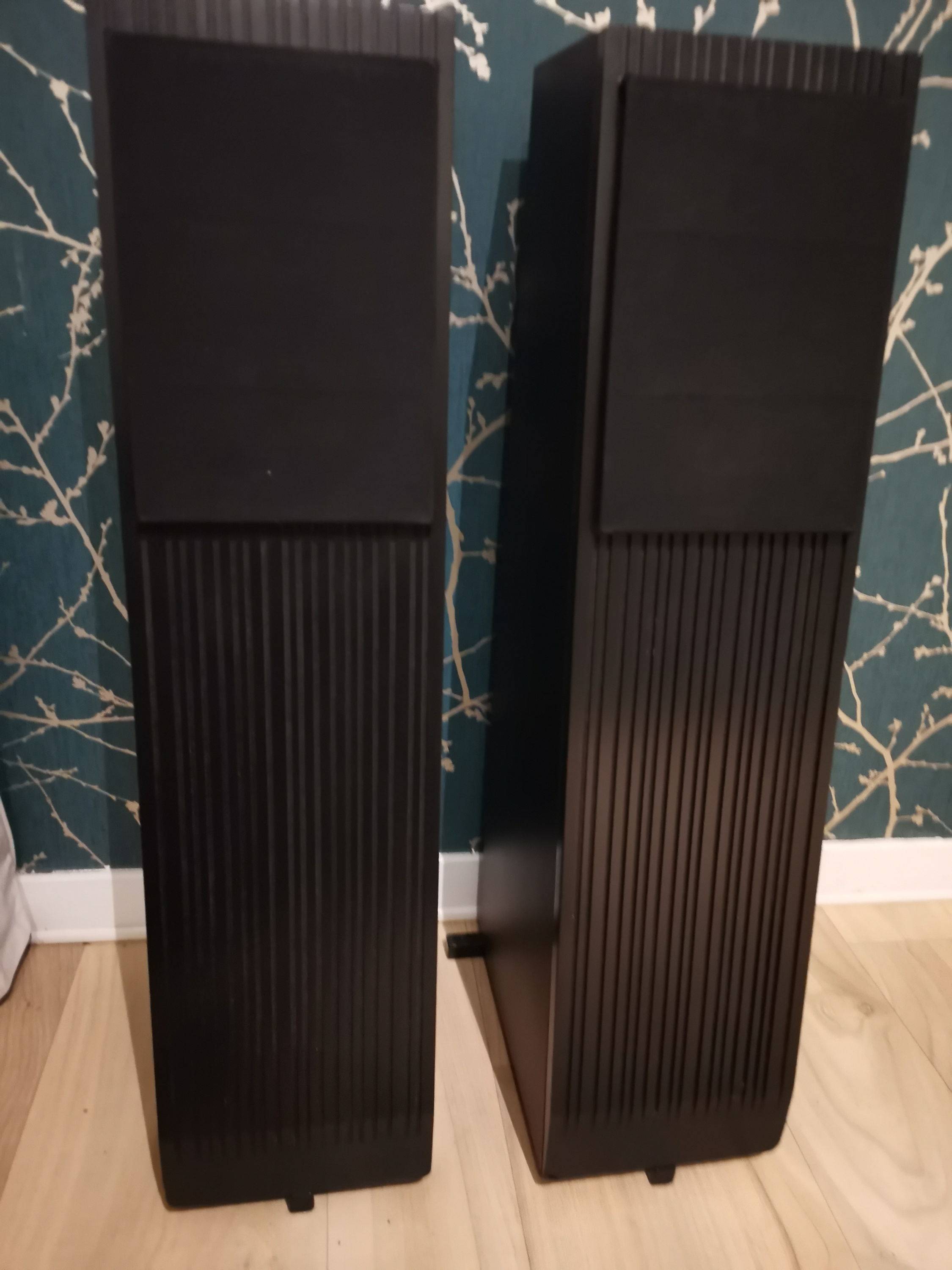 Vends enceintes audiophiles Rega Ela